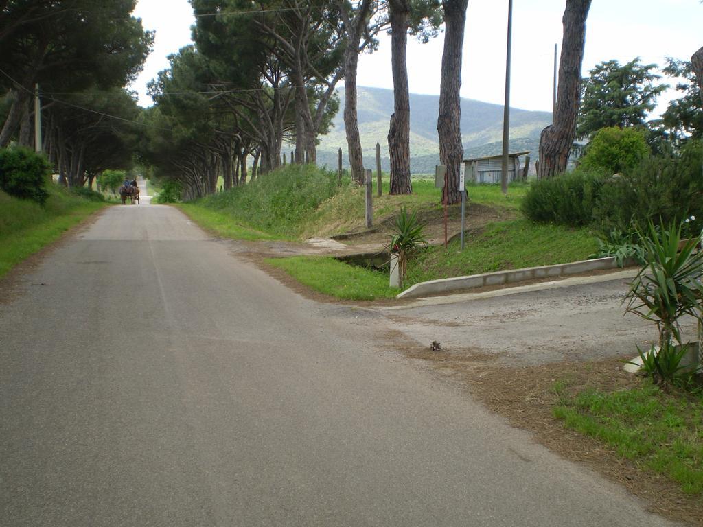 Agriturismo Ternova Alberese Extérieur photo