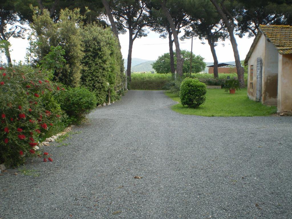 Agriturismo Ternova Alberese Extérieur photo