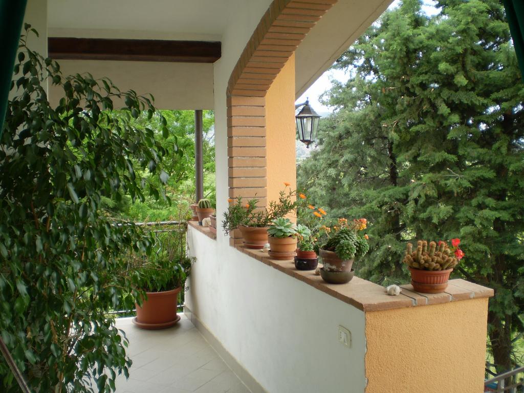 Agriturismo Ternova Alberese Extérieur photo